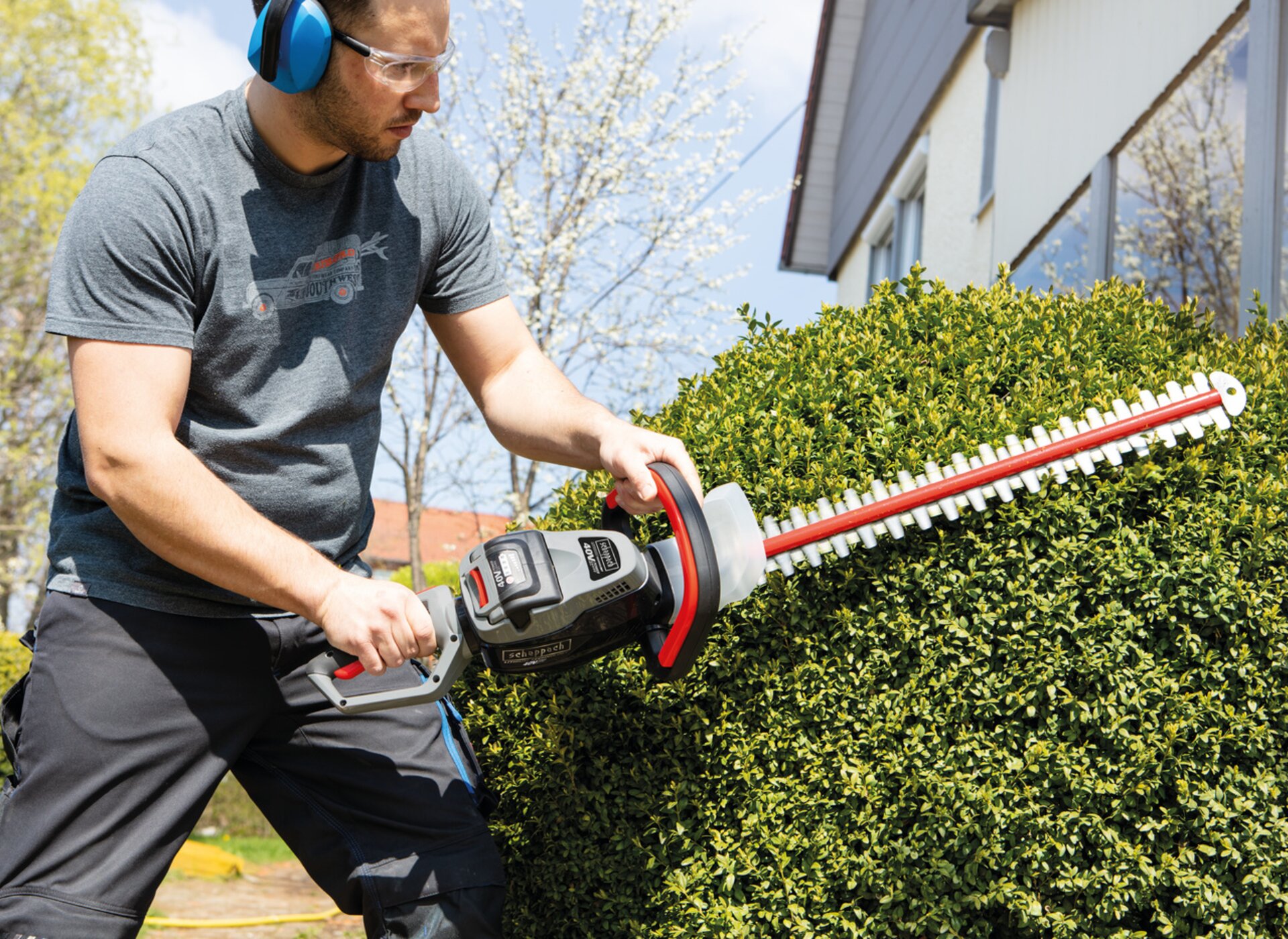 Scheppach shop hedge trimmer