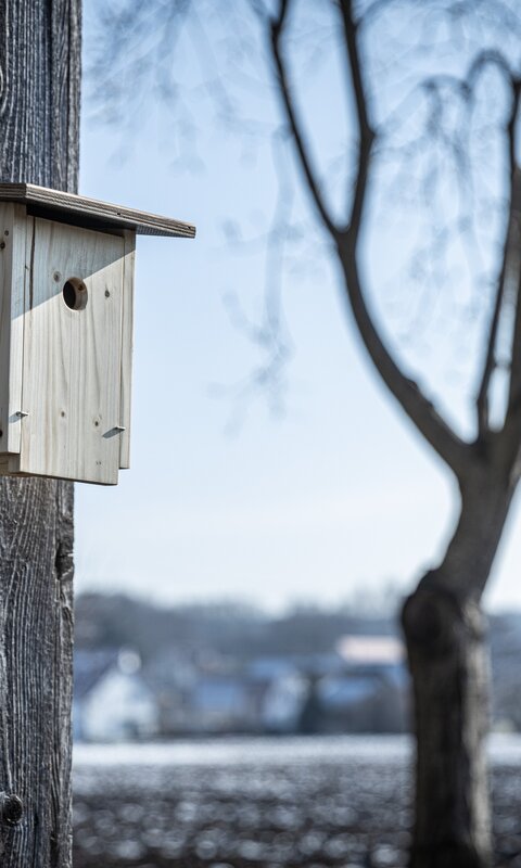 Tuya d'air pour compresseur Scheppach et Parkside